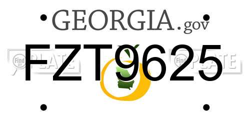 FZT9625 Georgia License Plate