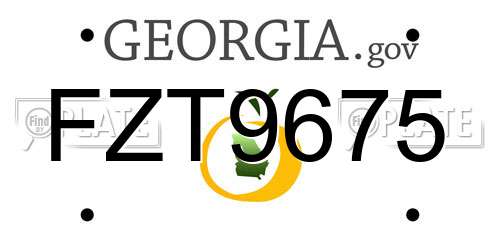 FZT9675 Georgia License Plate