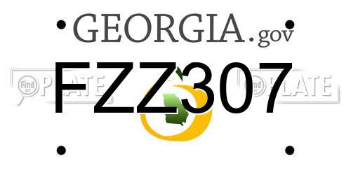 FZZ307 Georgia License Plate