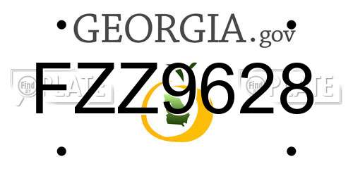 FZZ9628 Georgia License Plate