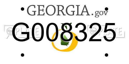 G008325 Georgia License Plate