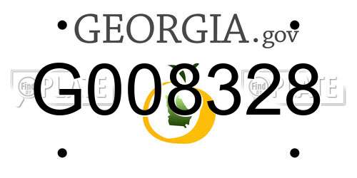 G008328 Georgia License Plate