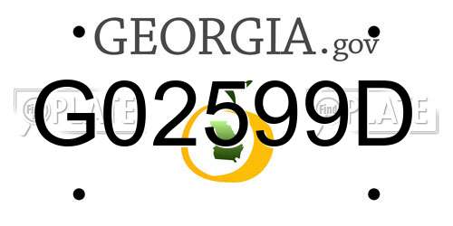 G02599D Georgia License Plate