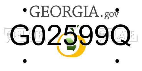 G02599Q Georgia License Plate