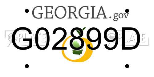 G02899D Georgia License Plate