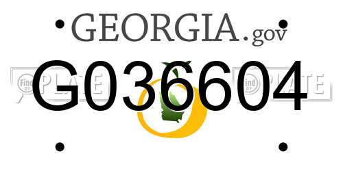 G036604 Georgia License Plate