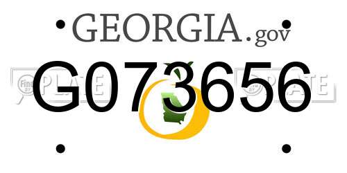 G073656 Georgia License Plate
