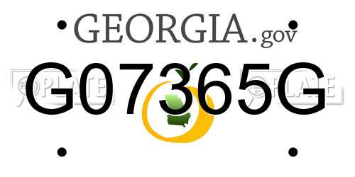 G07365G Georgia License Plate
