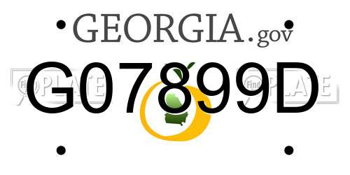 G07899D Georgia License Plate