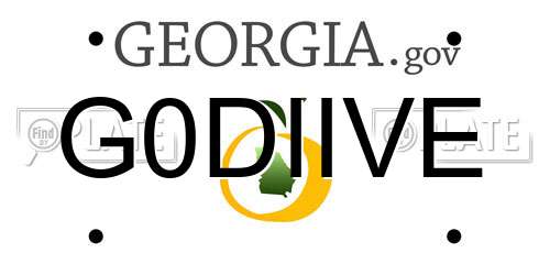 G0DIIVE Georgia License Plate