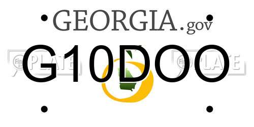 G10DOO Georgia License Plate