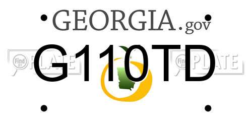 G110TD Georgia License Plate
