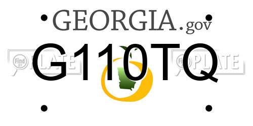 G110TQ Georgia License Plate
