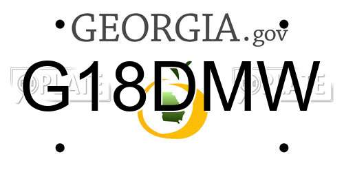 G18DMW Georgia License Plate