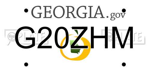 G20ZHM Georgia License Plate