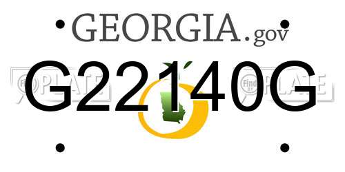 G22140G Georgia License Plate