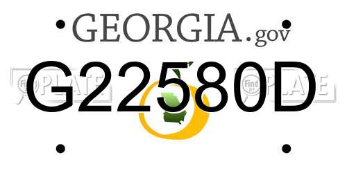 G22580D Georgia License Plate