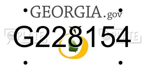 G228154 Georgia License Plate