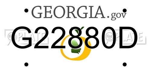 G22880D Georgia License Plate