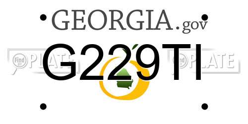 G229TI Georgia License Plate