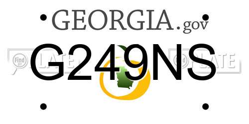 G249NS Georgia License Plate