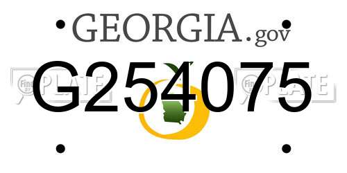 G254075 Georgia License Plate