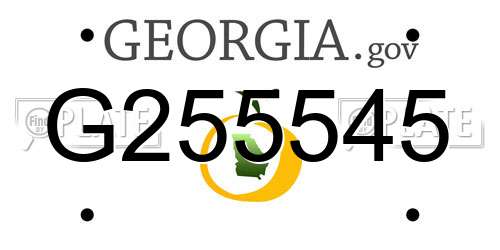 G255545 Georgia License Plate