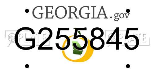 G255845 Georgia License Plate