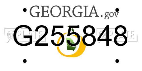 G255848 Georgia License Plate