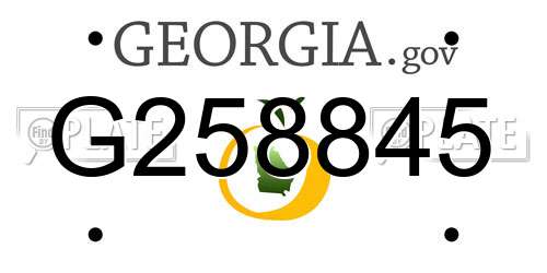 G258845 Georgia License Plate