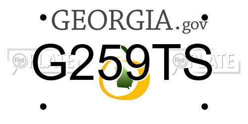 G259TS Georgia License Plate