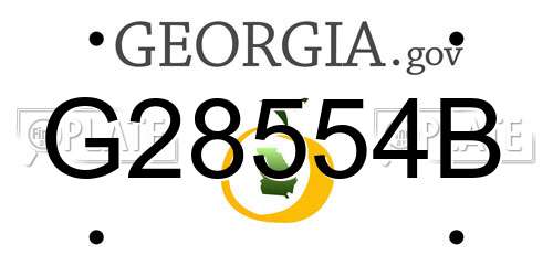 G28554B Georgia License Plate