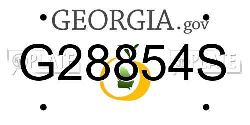 G28854S Georgia License Plate
