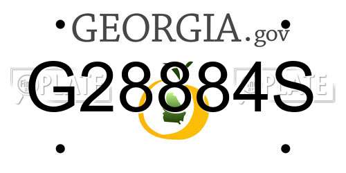 G28884S Georgia License Plate