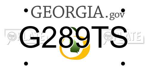 G289TS Georgia License Plate