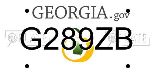 G289ZB Georgia License Plate