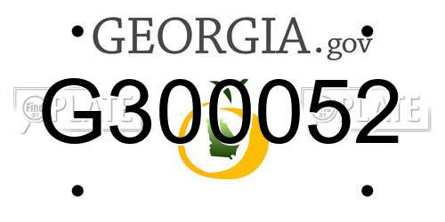 G300052 Georgia License Plate