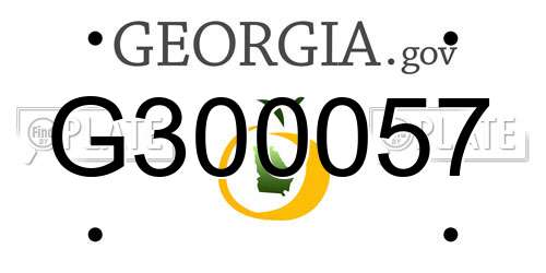 G300057 Georgia License Plate