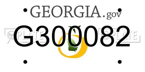 G300082 Georgia License Plate
