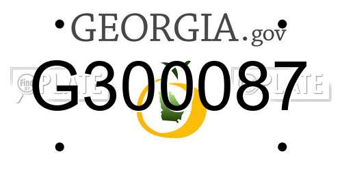 G300087 Georgia License Plate