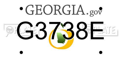 G3738E Georgia License Plate