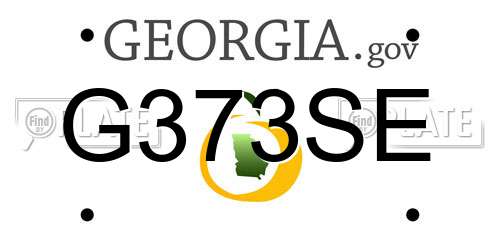 G373SE Georgia License Plate