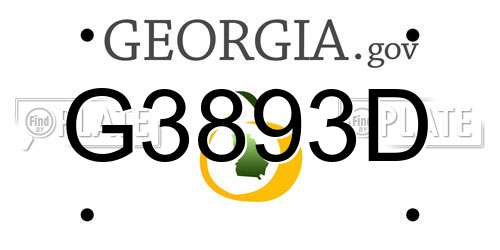 G3893D Georgia License Plate