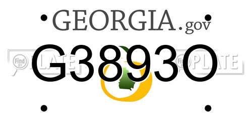 G3893O Georgia License Plate