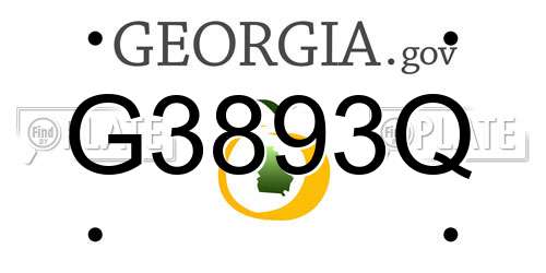 G3893Q Georgia License Plate