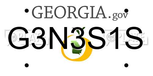 G3N3S1S Georgia License Plate