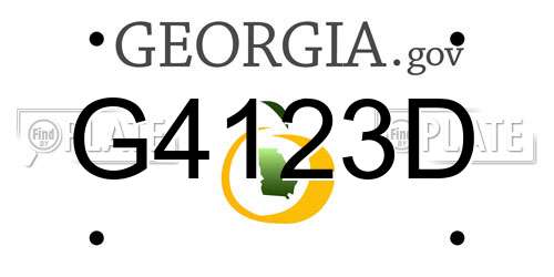 G4123D Georgia License Plate