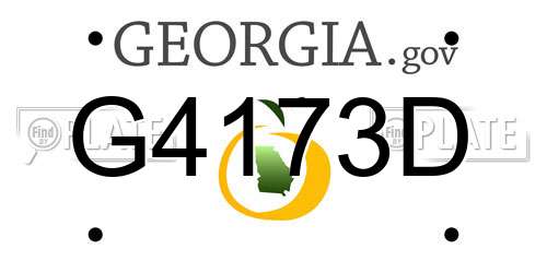 G4173D Georgia License Plate