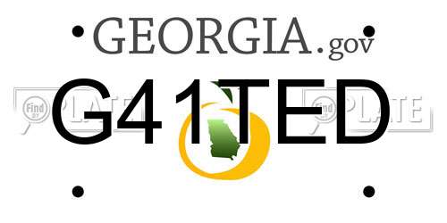G41TED Georgia License Plate