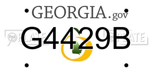 G4429B Georgia License Plate